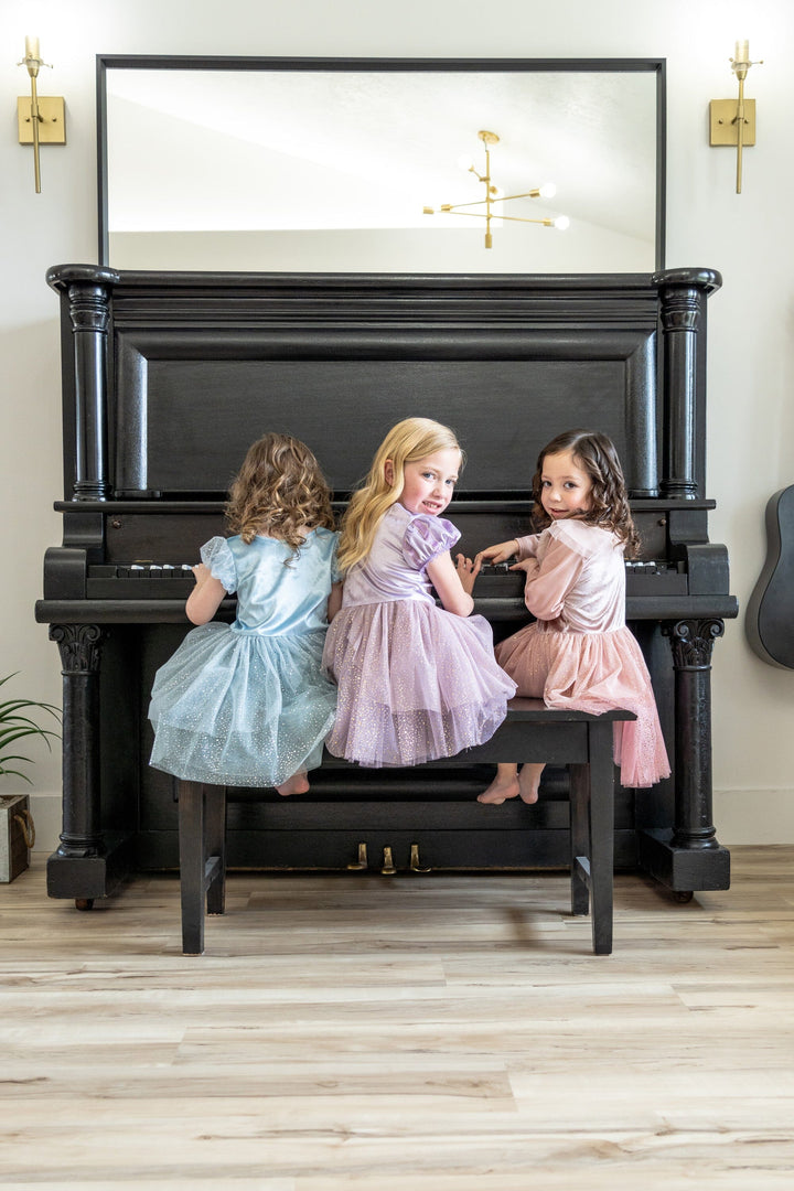Vintage Cinderella Party Dress – Little Adventures