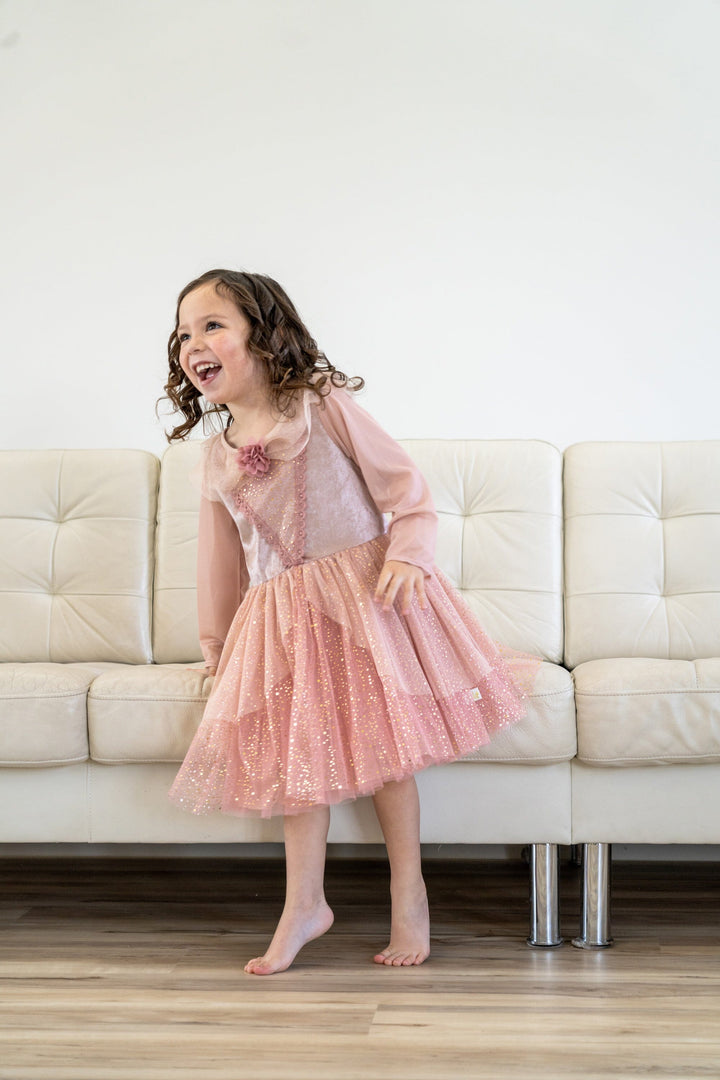 vintage party dress Sleeping Beauty M (3-5 yrs.) Floral Embroidery Long Sleeve TREND::Western Color:Light Blue/Light Pink The Measurements of the