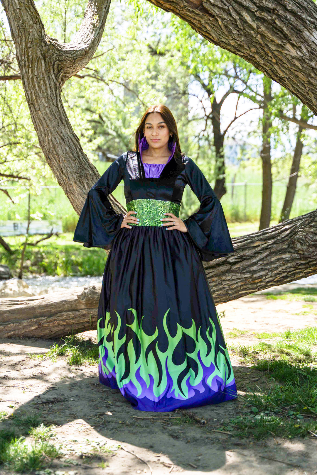 Enchanted Dragon Queen Little Adventures Enchanted Dragon Queen Little Adventures