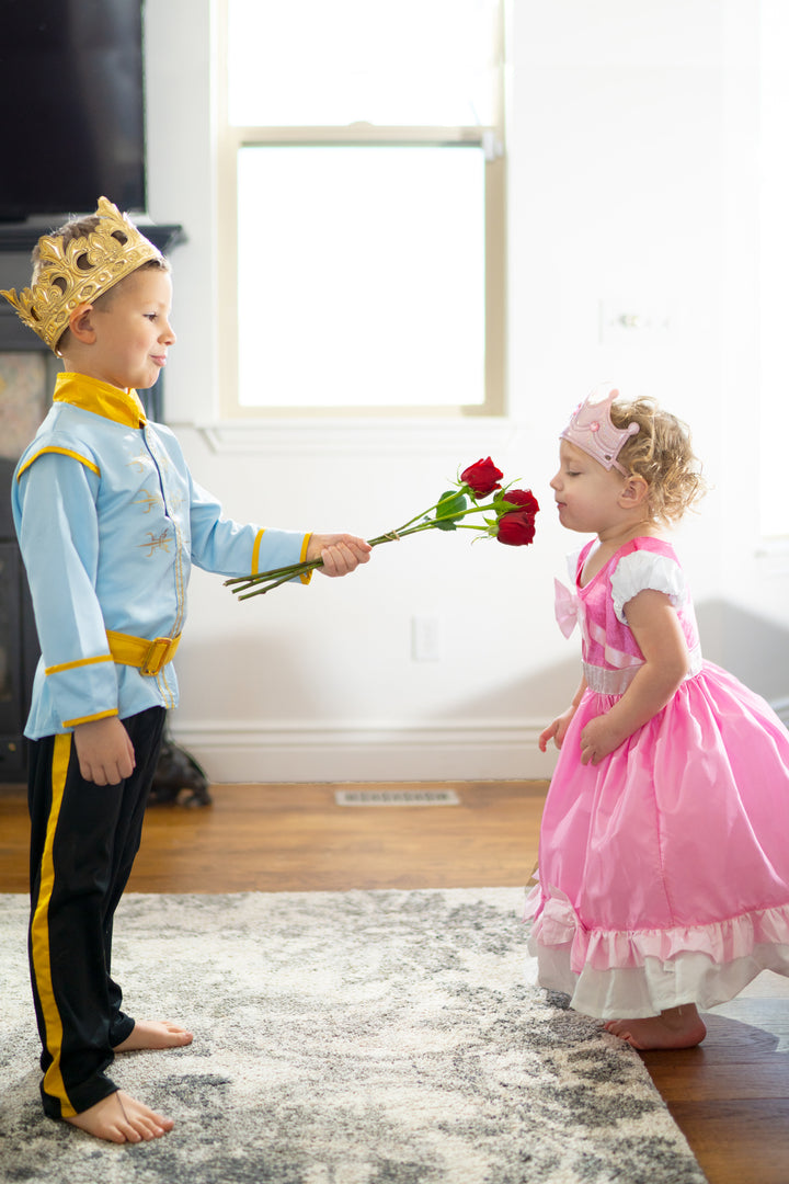 Cinderella Ball Gown – Little Adventures