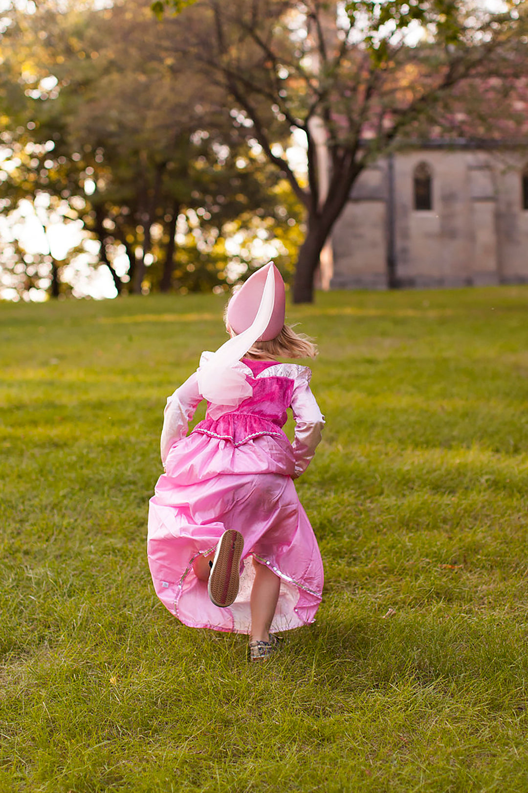 Sleeping Beauty Dress | Princess Dress Up