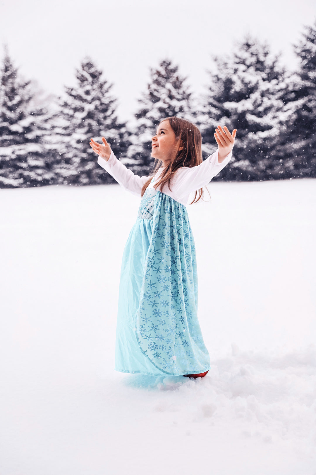 Ice Princess Little Adventures Ice Princess Little Adventures