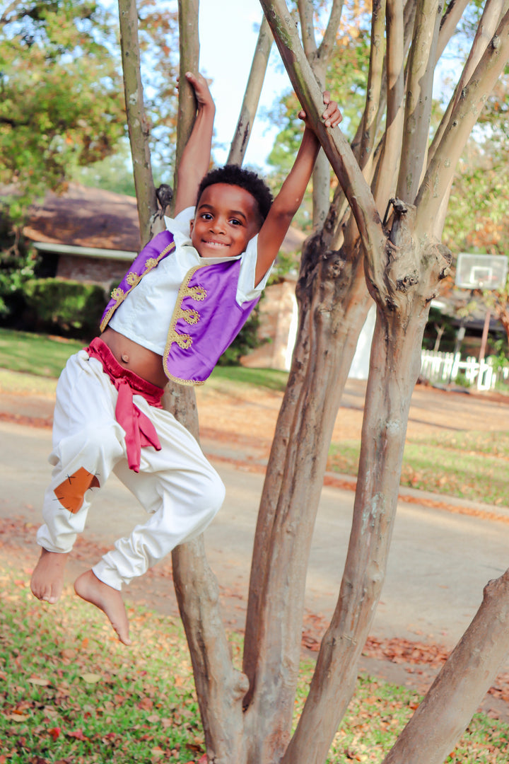 Little Adventures Oasis Prince Costume For Kids - 2-Piece Arabian Prince Dress Up Set