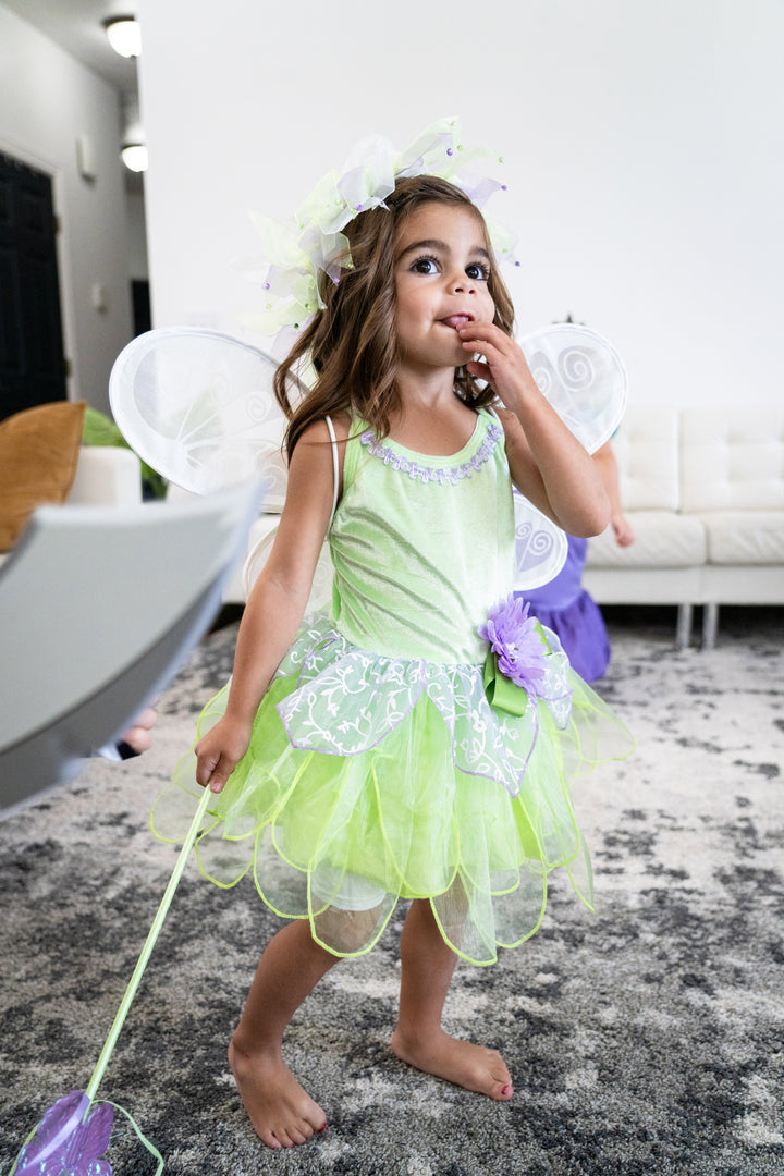 tinker bell dress Tinkerbell Dress Up Costume
