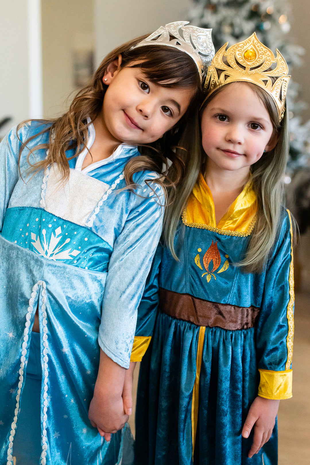 Little Adventures Ice Princess Dress Up Costume