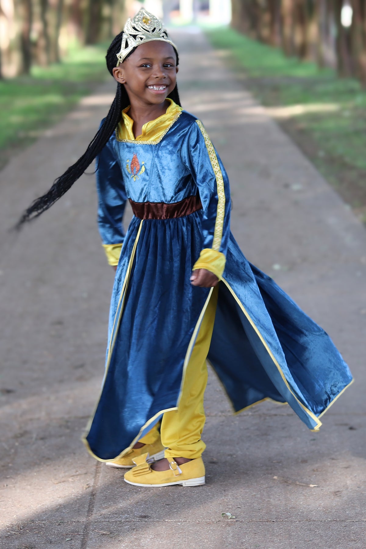 Alpine Princess Adult Halloween Costume L15320 - China Princess
