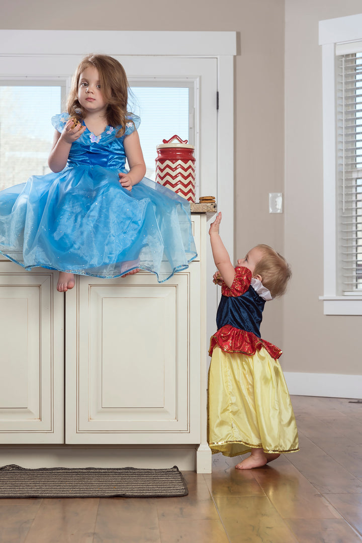 cinderella blue butterfly dress Little Adventures Deluxe Cinderella Butterfly Princess Dress Up Costume for Girls