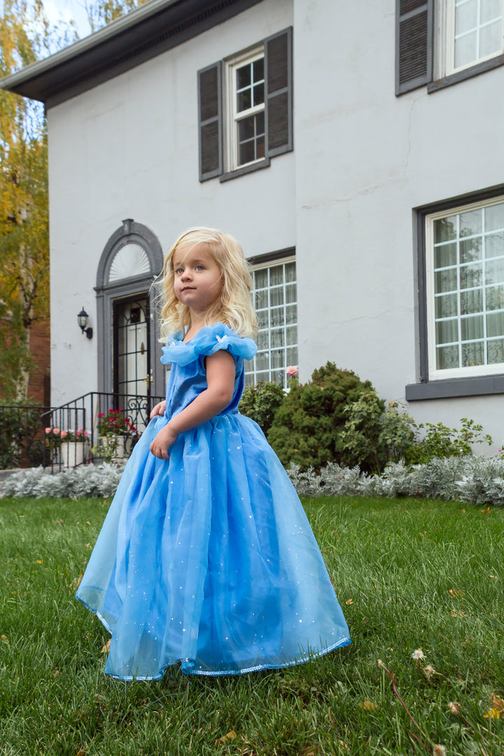 Little Adventures Deluxe Cinderella Butterfly Princess Dress Up Costume (X-Large) Little Adventures Deluxe Cinderella Butterfly Princess Dress Up Costume (X-Large)