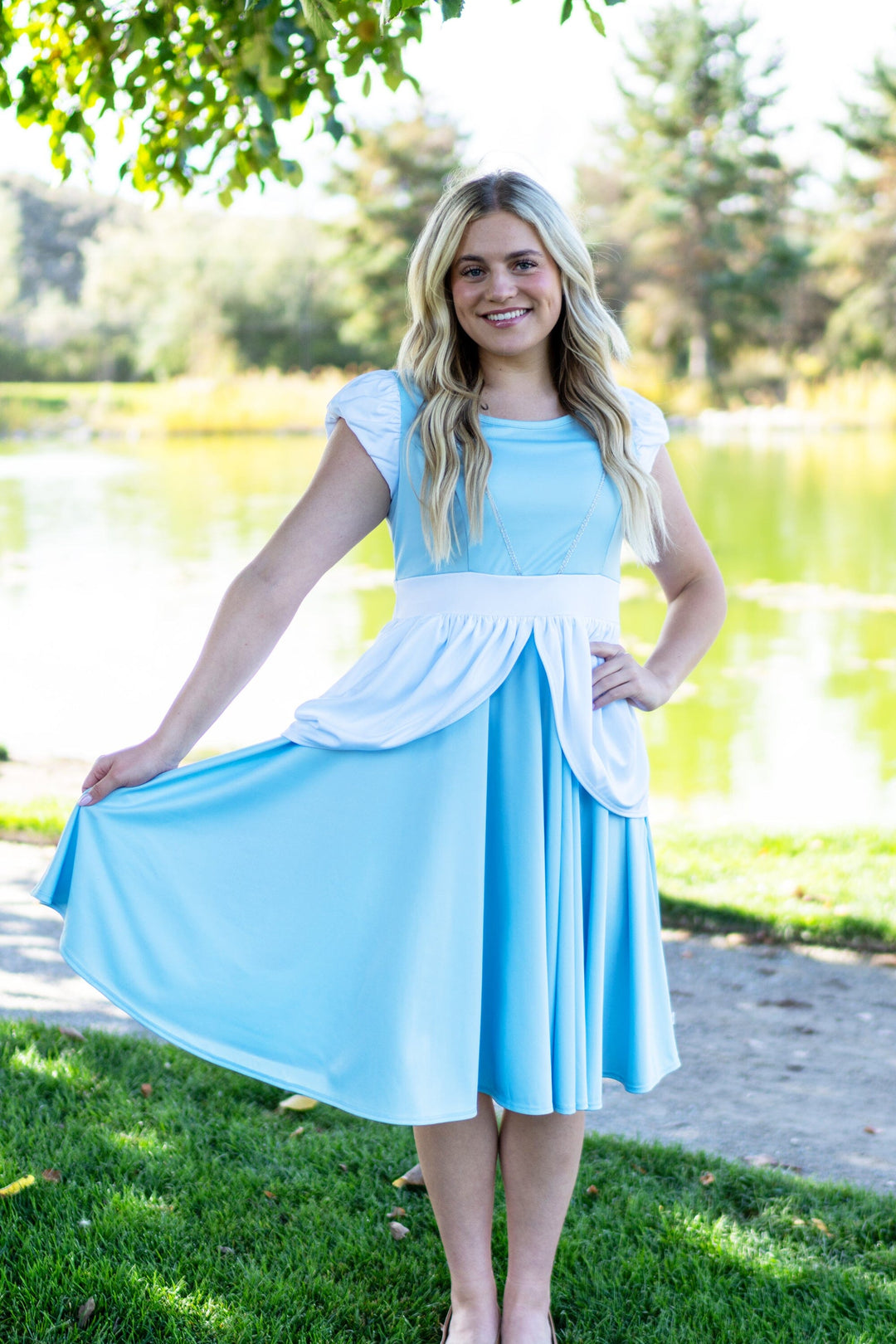 Adult Cinderella Twirl Dress Adult Cinderella Twirl Dress
