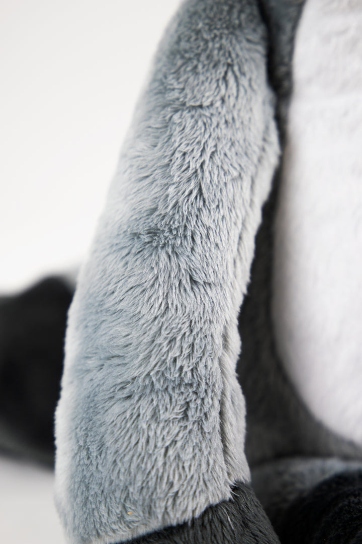 Adventure Pal - Remy Raccoon – Little Adventures